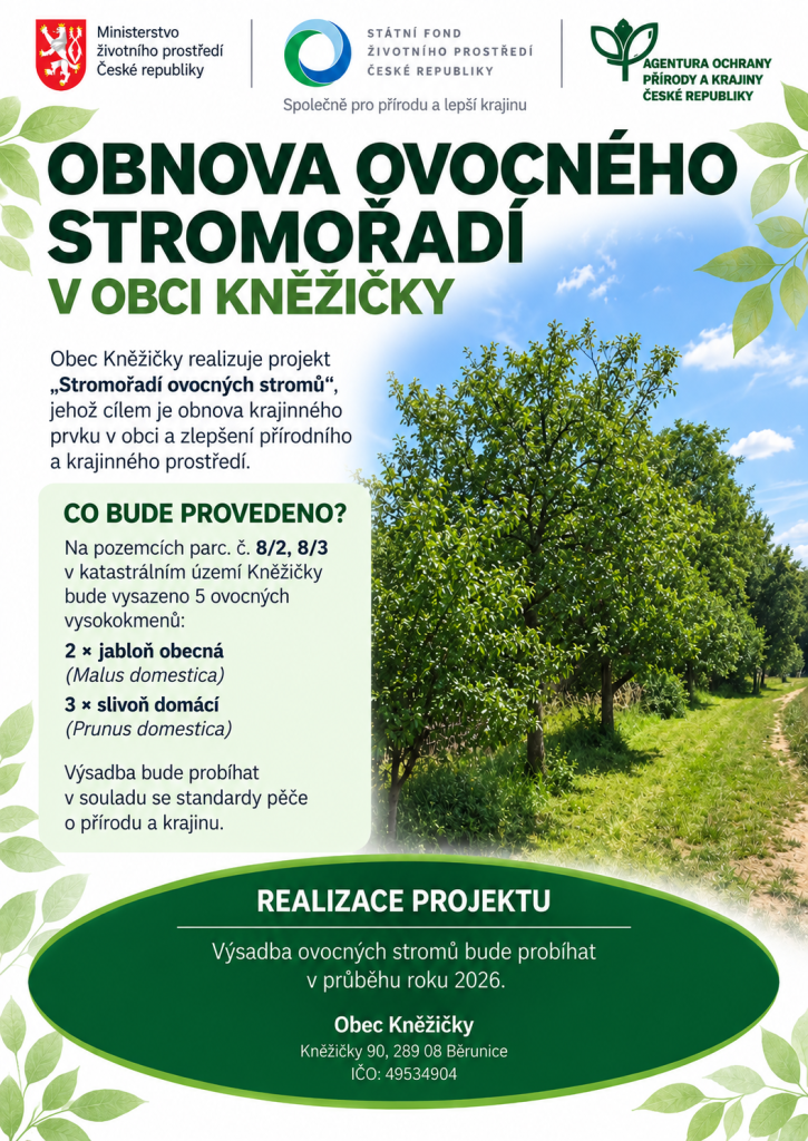 Obnova ovocného stromořadí
